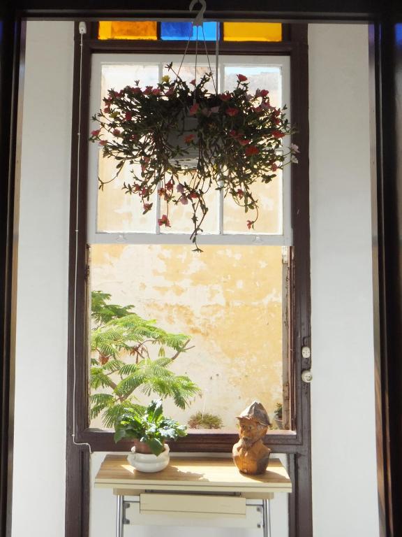 Casa Colonial Cejas Hotel Santa Cruz de Tenerife Bagian luar foto