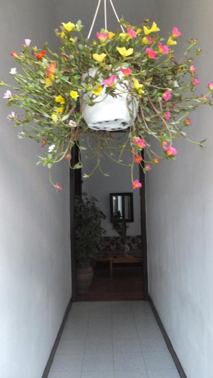 Casa Colonial Cejas Hotel Santa Cruz de Tenerife Bagian luar foto