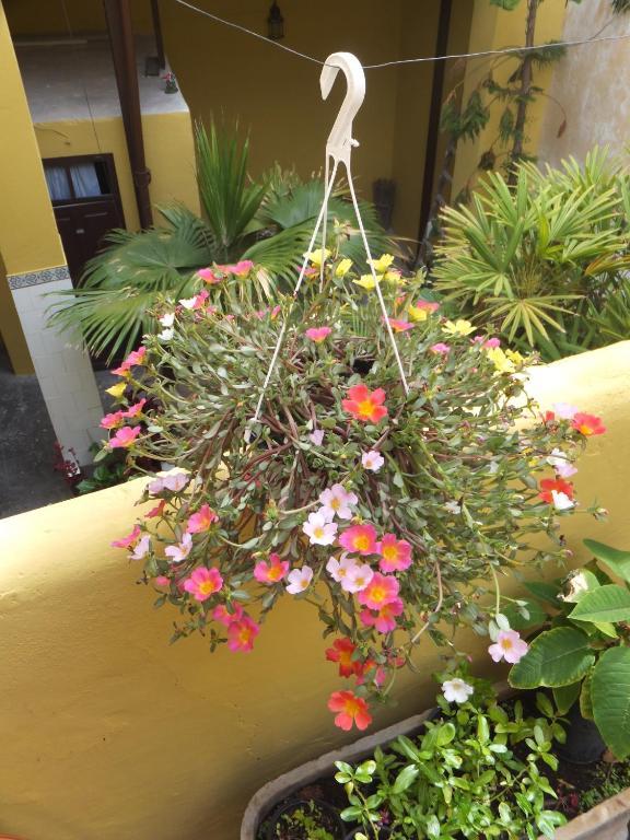 Casa Colonial Cejas Hotel Santa Cruz de Tenerife Bagian luar foto