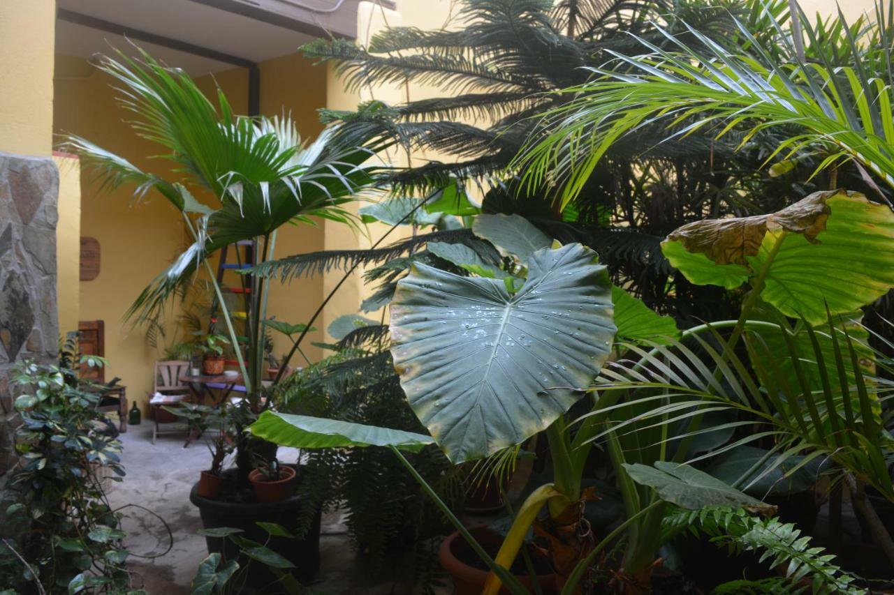 Casa Colonial Cejas Hotel Santa Cruz de Tenerife Bagian luar foto